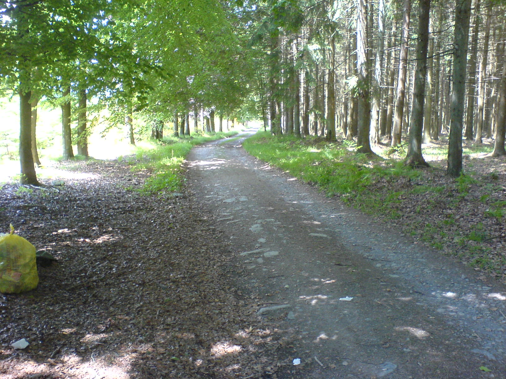 DSC00136