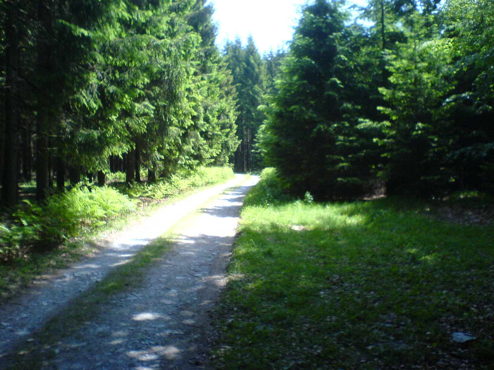 DSC00137